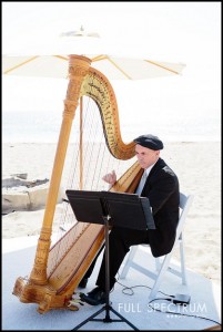 wedding harpist