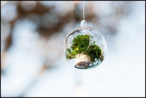 wedding hanging glass terrariums