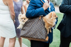 dog friendly wedding venues