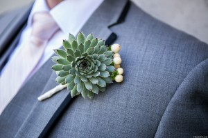 succulent boutonniere