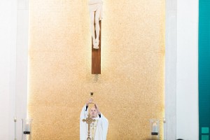our lady of mount carmel weddings