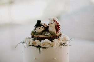 hedgehog cake topper