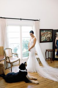 dogs at weddings orange county