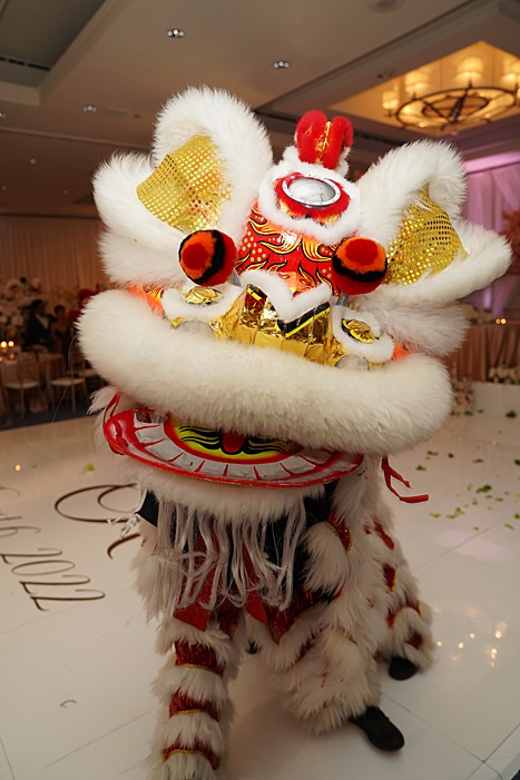 lion dancer