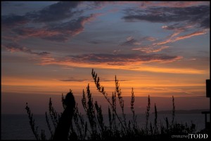 sunset weddings