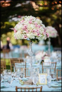 outdoor beach wedding