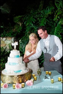 cake cutting