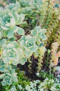 laguna hills weddings