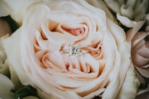 wedding rose