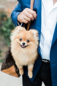 dog friendly wedding venues