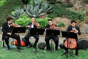 wedding live music