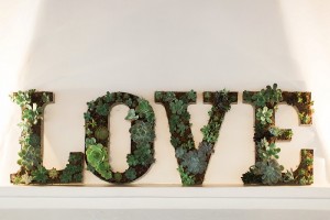 succulent wedding decor