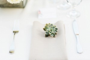 succulent