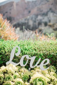 outdoor wedding