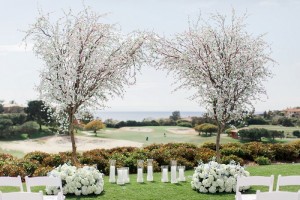 monarch beach resort wedding