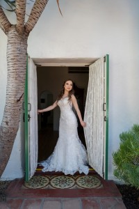 lace wedding dress