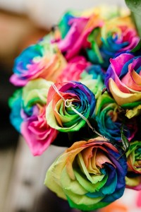 rainbow roses