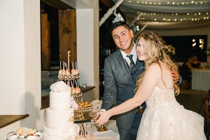 cake cutting